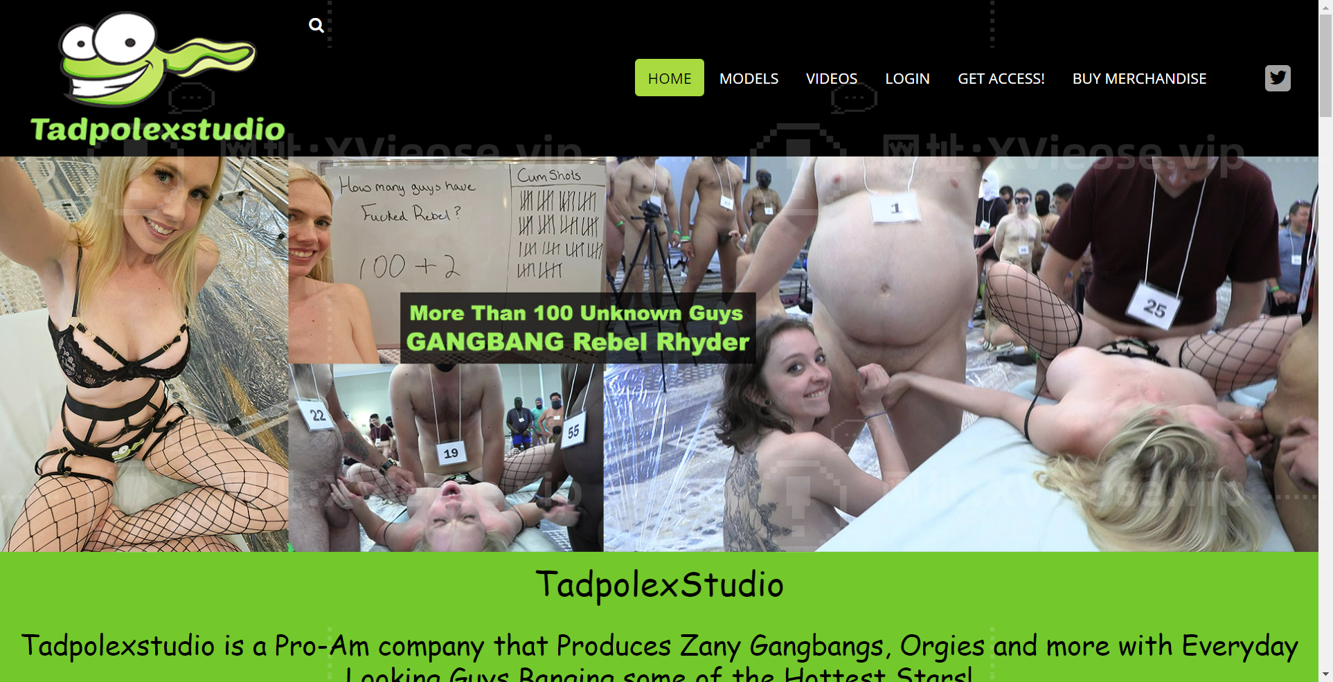 TadpolexStudio-group-sex-PornYou